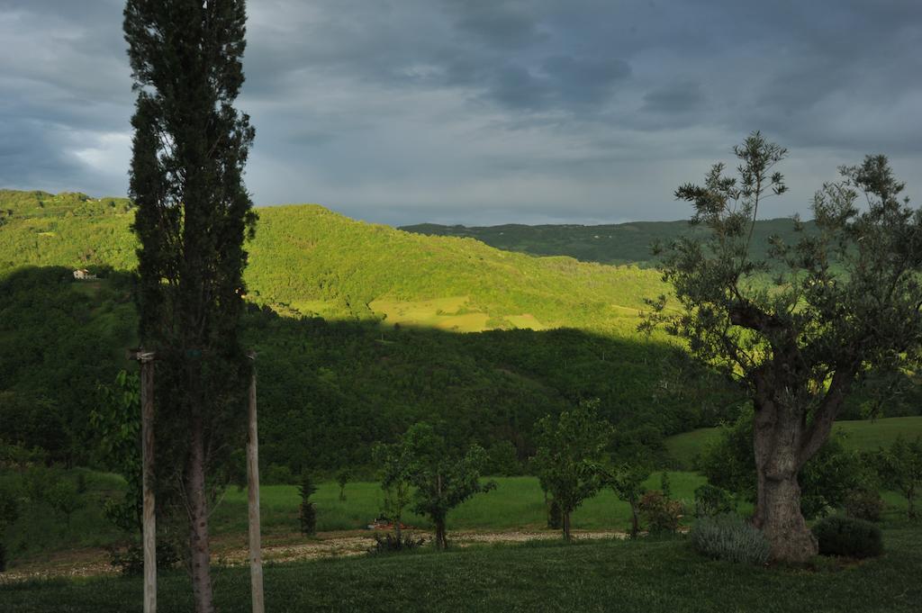 Agriturismo Paradiso 44 Assisi Esterno foto