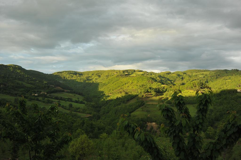 Agriturismo Paradiso 44 Assisi Esterno foto