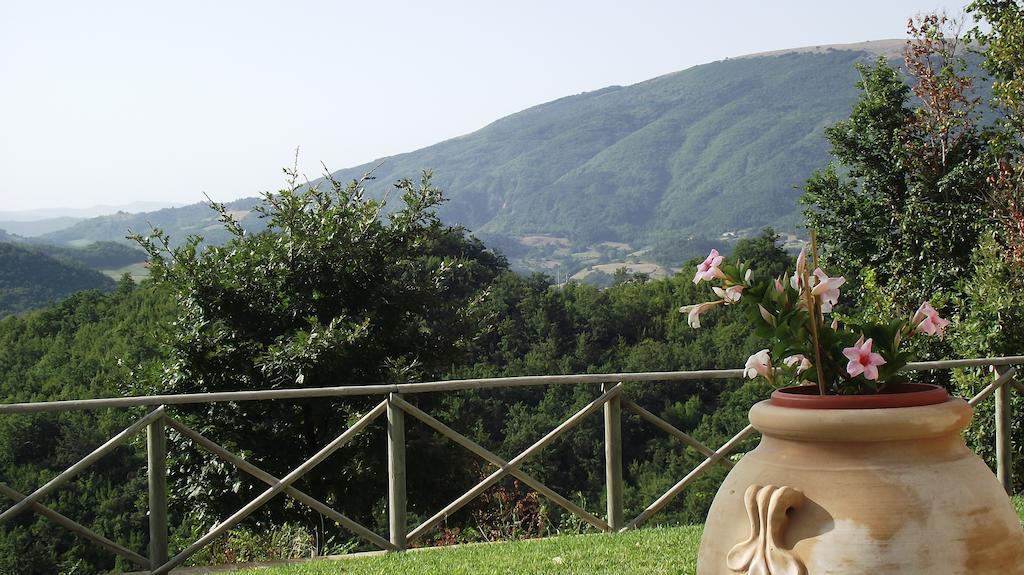 Agriturismo Paradiso 44 Assisi Esterno foto