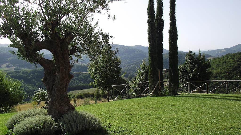 Agriturismo Paradiso 44 Assisi Esterno foto