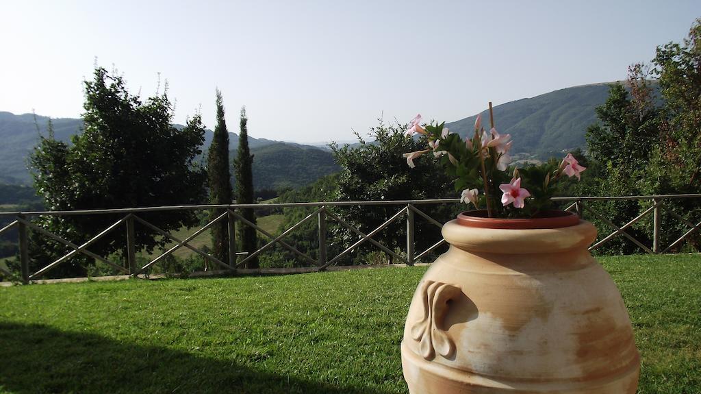 Agriturismo Paradiso 44 Assisi Esterno foto