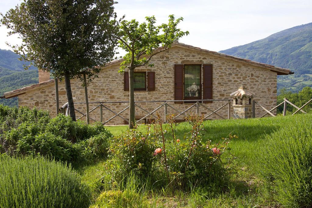 Agriturismo Paradiso 44 Assisi Esterno foto