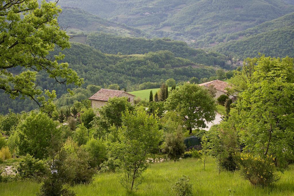 Agriturismo Paradiso 44 Assisi Esterno foto